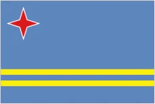TEAM #13529 logo