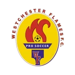 TEAM #13565 logo