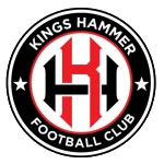 TEAM #13575 logo