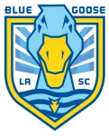 TEAM #13581 logo