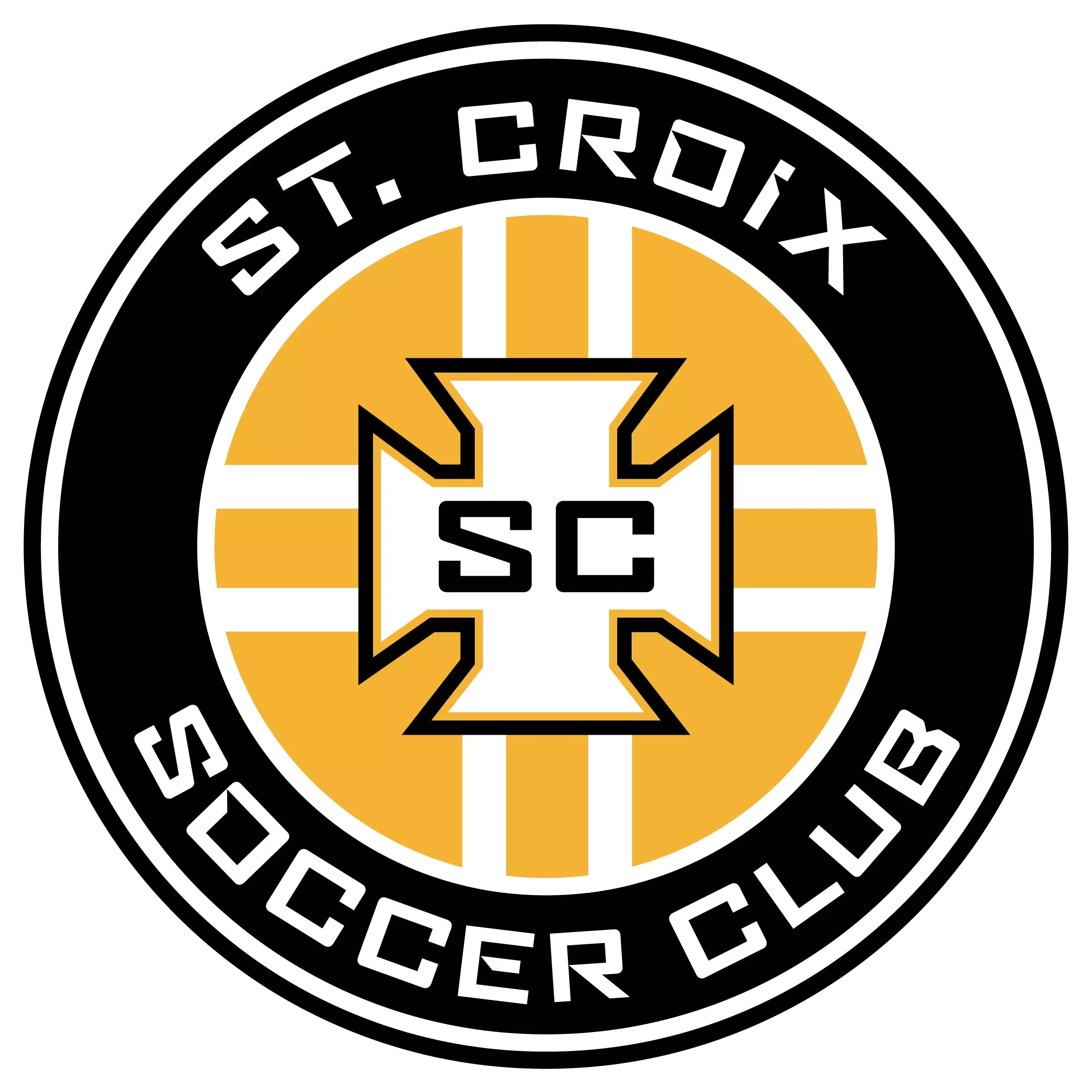 TEAM #13597 logo
