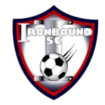 TEAM #13601 logo