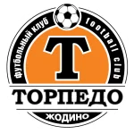 TEAM #13641 logo