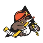 TEAM #13652 logo