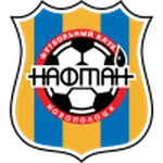TEAM #13655 logo