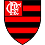 TEAM #13699 logo