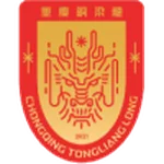 TEAM #13726 logo