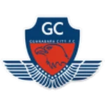 TEAM #13735 logo