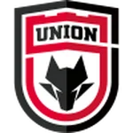TEAM #13789 logo