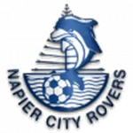 TEAM #13799 logo