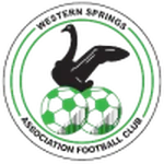 TEAM #13817 logo