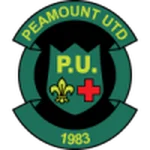 TEAM #13896 logo