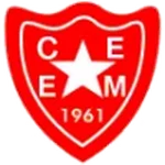 TEAM #13935 logo