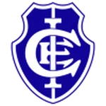 TEAM #13937 logo