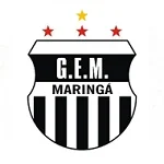 TEAM #13961 logo