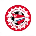 TEAM #13991 logo