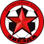 TEAM #13993 logo
