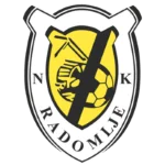 TEAM #1403 logo