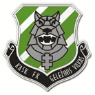 TEAM #14305 logo