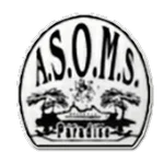 TEAM #14528 logo
