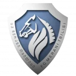 TEAM #14723 logo