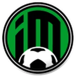 TEAM #14782 logo