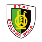 TEAM #15256 logo