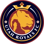 TEAM #15271 logo