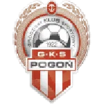 TEAM #15349 logo