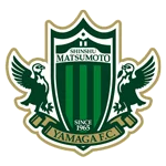 TEAM #1563 logo