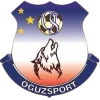 TEAM #15795 logo