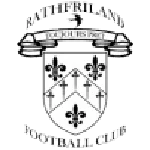 TEAM #15811 logo