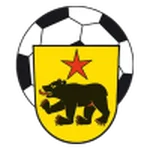 TEAM #15929 logo