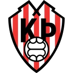 TEAM #1593 logo