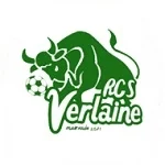TEAM #15953 logo