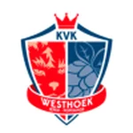 TEAM #15961 logo