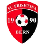 TEAM #15993 logo
