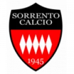 TEAM #16131 logo
