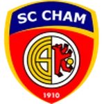 TEAM #16155 logo