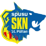 TEAM #16163 logo