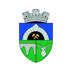 TEAM #16164 logo