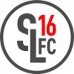 TEAM #16167 logo