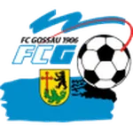 TEAM #16181 logo