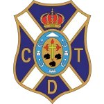 TEAM #163 logo