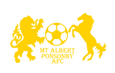 TEAM #16312 logo