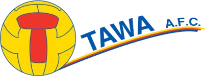 TEAM #16346 logo