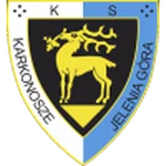 TEAM #16378 logo