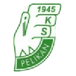 TEAM #16407 logo