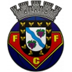 TEAM #16411 logo