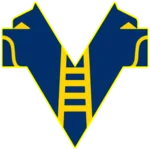 TEAM #16463 logo